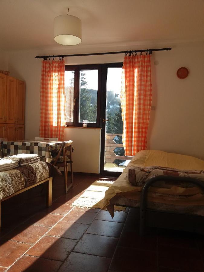 Apartments Dviletov Kutak كوباونيك المظهر الخارجي الصورة